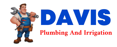 Trusted plumber in SCIPIO